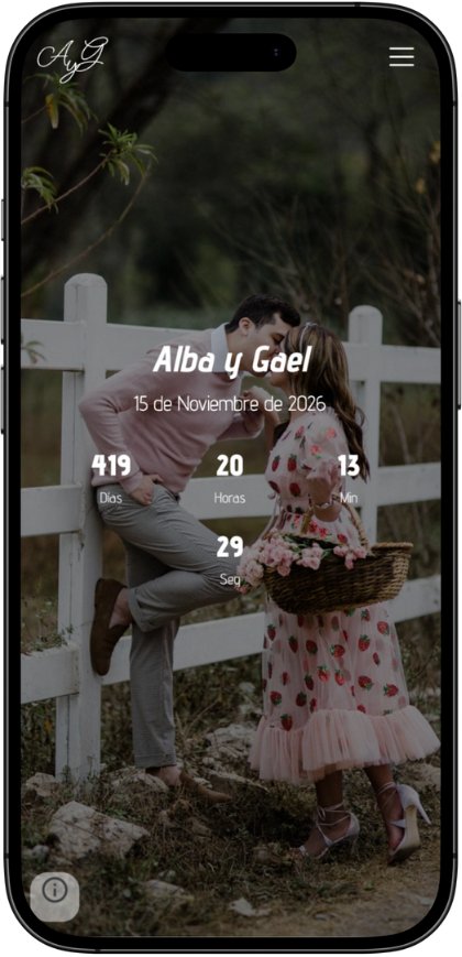 Diseño Vichy de una web de boda personalizada